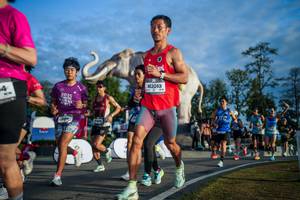 BIB: 
                            <button type="button" onclick="openModal(26541514)" class="btn btn-primary btn-sm float-right btn-popup" data-toggle="modal" data-target=".modal-high-quality">
                        <i class="fas fa-shopping-cart"></i> Add to Cart
                    </button>
                                            <button type="button" onclick="isThisMe(26541514, true)" class="btn btn-success btn-sm float-right btn-popup btn-isme hidden" data-toggle="tooltip" data-placement="bottom" title="นี่คือรูปของคุณใช่ไหม คลิกที่นี่เพื่อเอาเข้าอัลบั้ม">
                        <i class="fas fa-plus"></i> Add to album
                    </button>
                    <button type="button" onclick="isThisMe(26541514, false)" class="btn btn-warning btn-sm float-right btn-popup btn-isnotme hidden">
                        <i class="fas fa-ban"></i> Remove from album
                    </button>